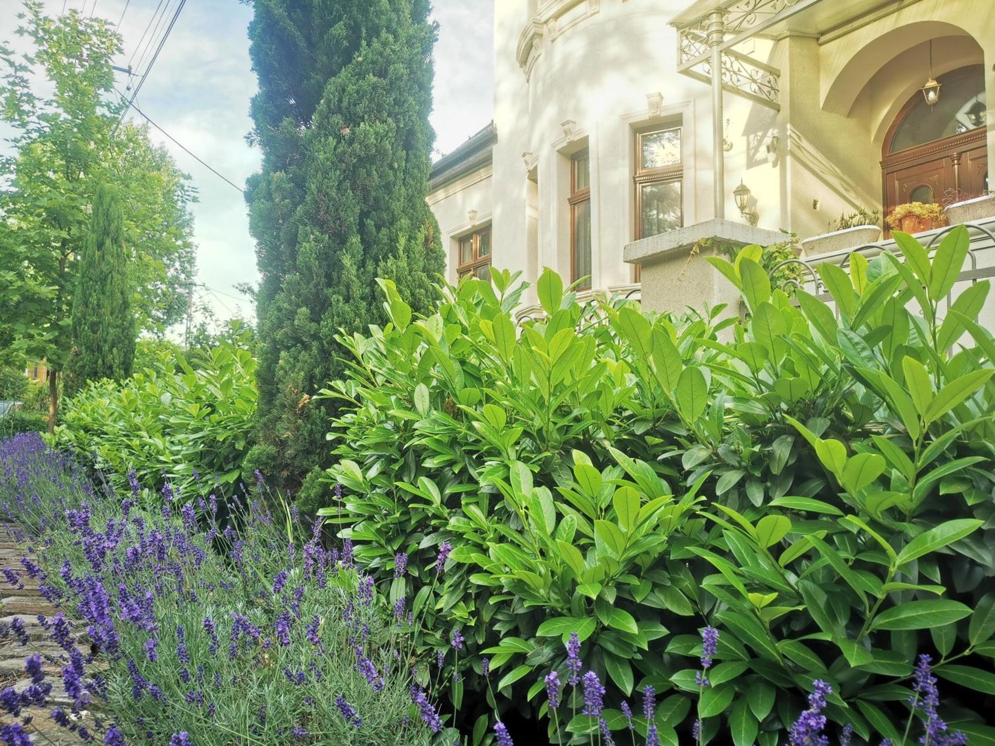 Kuria Apartman With Private Jacuzzi And Pool Budapest Ngoại thất bức ảnh